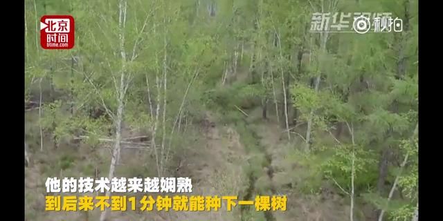 黑龙江老人坚持种树20年，种植上百万棵树，成就大森林