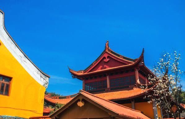 浙江隐藏的7条如诗如画的绝美“天路”你去过几条？