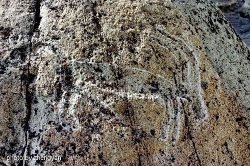 在“贺兰山岩画遗址公园”看远古文化