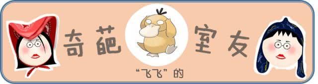 “我的奇葩室友”吐槽大会