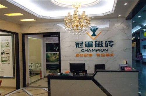 瓷砖十大名牌排行榜_瓷砖胶十大名牌排行榜(5)