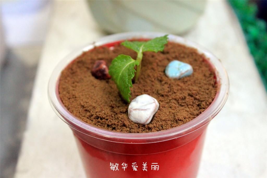 厦门市十五届人大五次会议