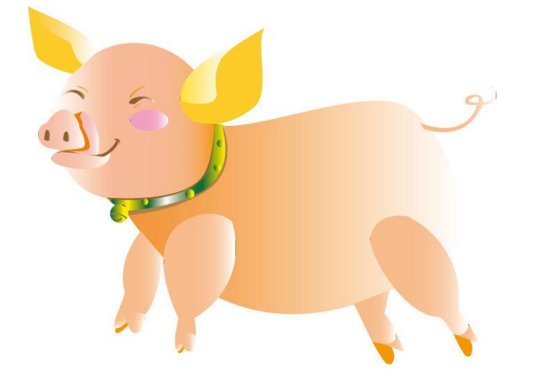 1983年属猪2019年本命年运势女 83年猪女201