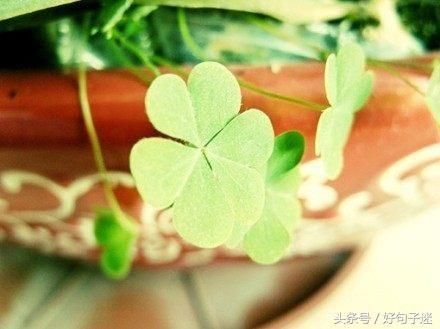 2018微信最火的心情说说短句,句句吸引人,刷爆