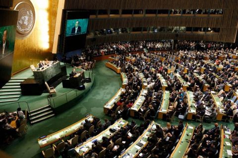 联合国草案和决议草案