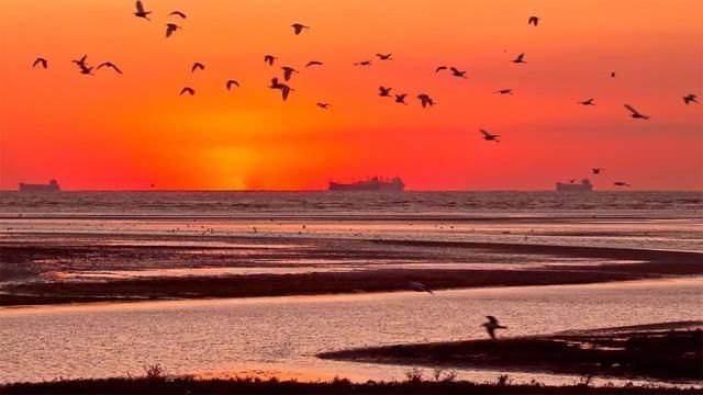 中国最适合养老的20座城市名单，秦皇岛竟然排第一!