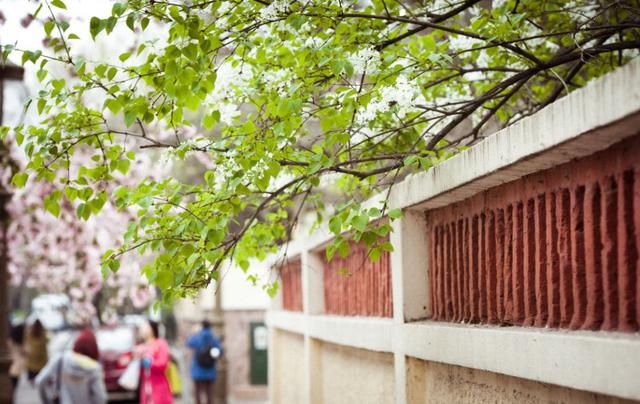 2018春天国内最美的30个地方,你去过几个?