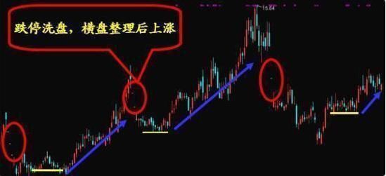 到时是谁才是中国股市真正的“庄家”？