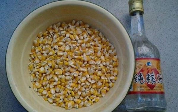 鲤鱼饵不要买,自己在家就能做,1分钟能学会,让你钓1次忘不掉