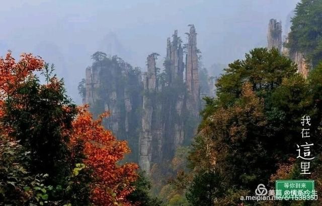 张家界天门山、张家界森林公园、杨家界、天子山三日游