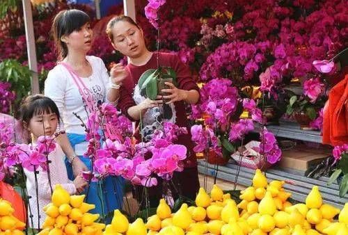 广州“过山车”天气，7°C低温转眼升至26°C，成史上最热春节...