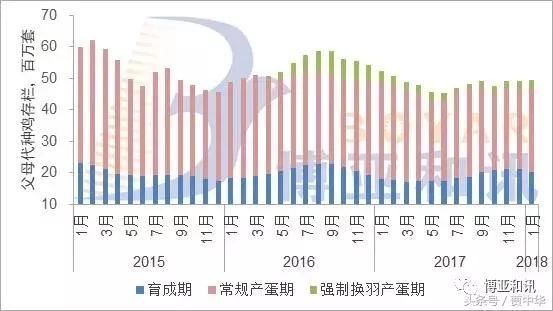 2018春节后毛鸡价格存下跌风险 ， 市场需理性发展