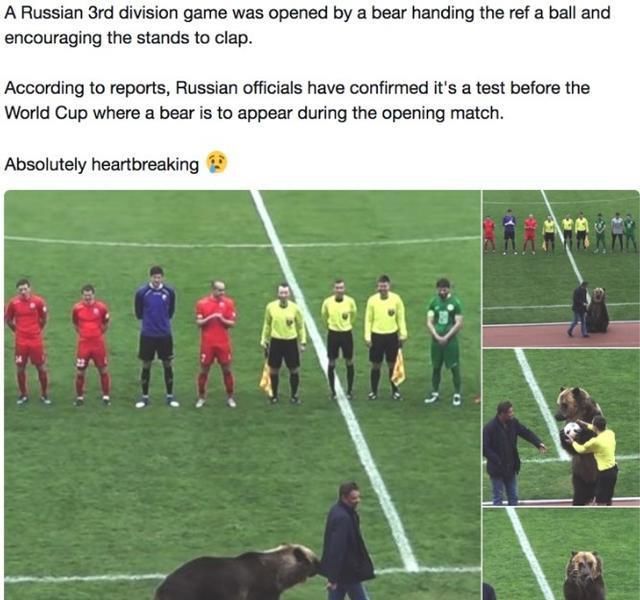 大熊熊为比赛开球,俄罗斯欲把创意引进世界杯