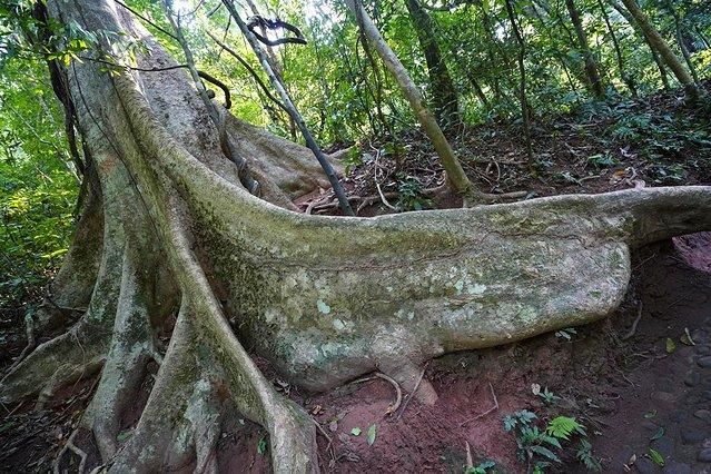 7天6晚，玩转傣历新年泼水盛会