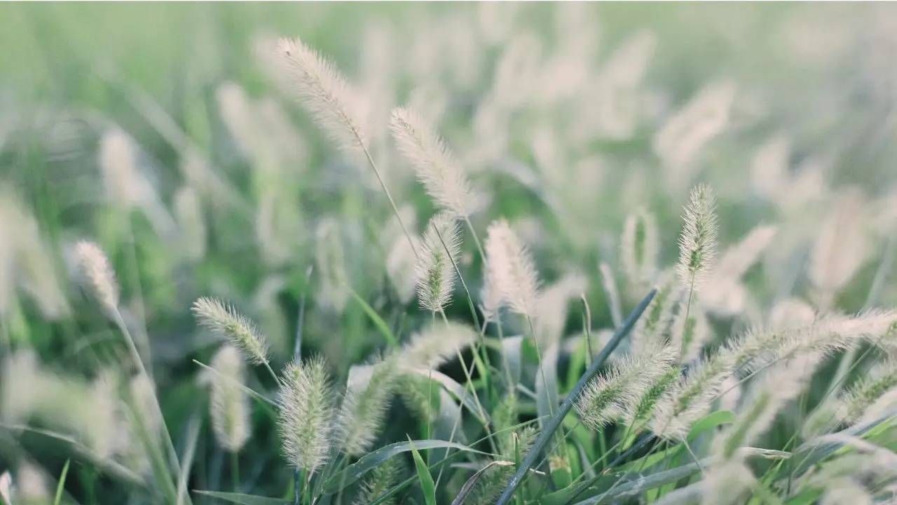 【问答】纳税人逾期未申报企业所得税如何处罚