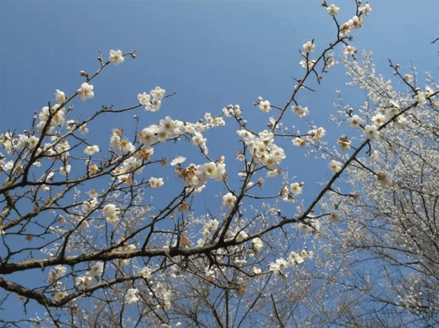 2018年贵阳全年接待指南