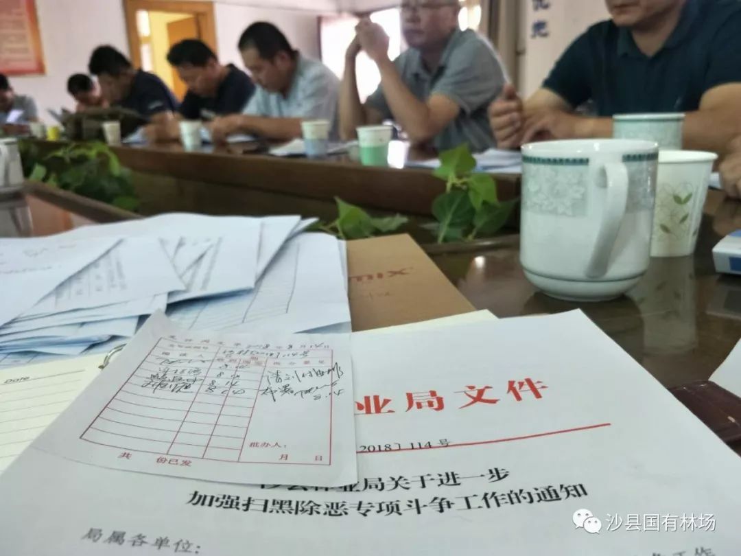 沙县国有林场召开强化扫黑除恶专项斗争工作专