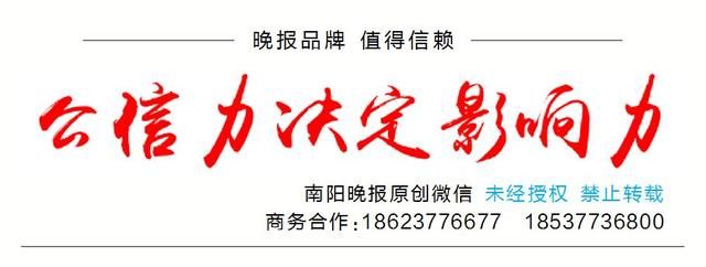 南阳人，快来看看有没有你家！“南阳最美村镇”榜单公布