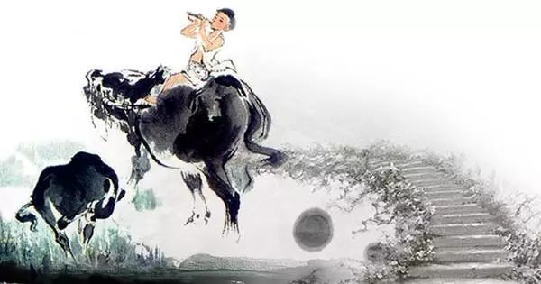 清明节放假通知|诺尔本健身