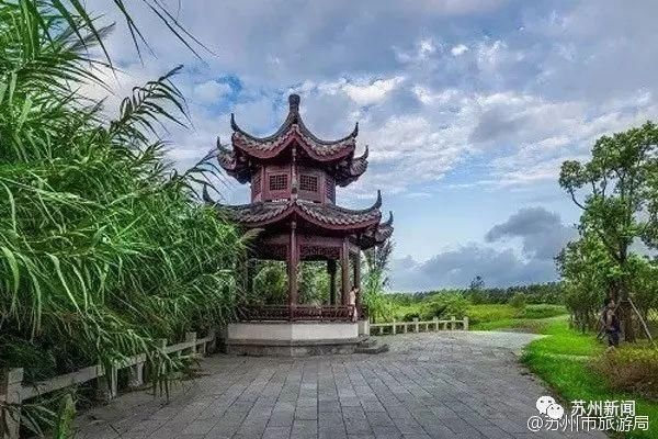 史上首次！豪华游轮停靠张家港，这座岛上的美景要藏不住了！