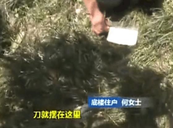 重庆一小区内菜刀从天而降，当事人：家中老人想活动一下