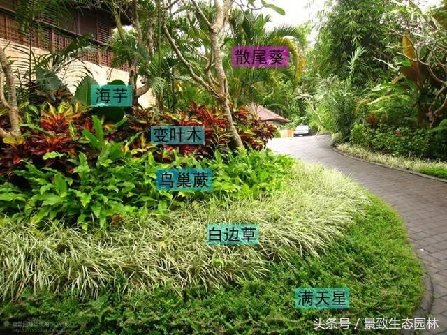 园林植物造景