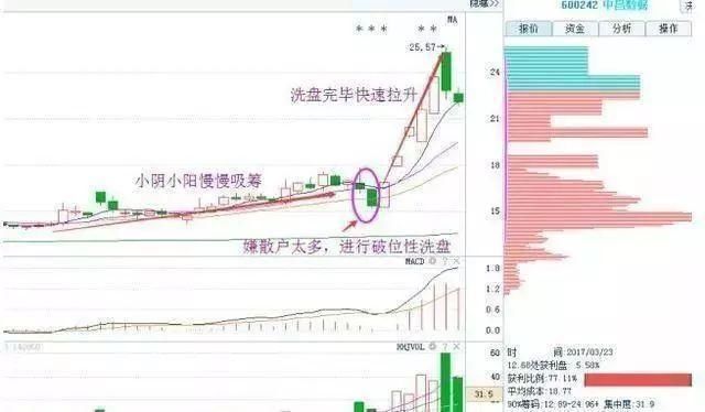 中国股市扯掉最后一块“遮羞布”，喊出保护弱小散户的旗号！