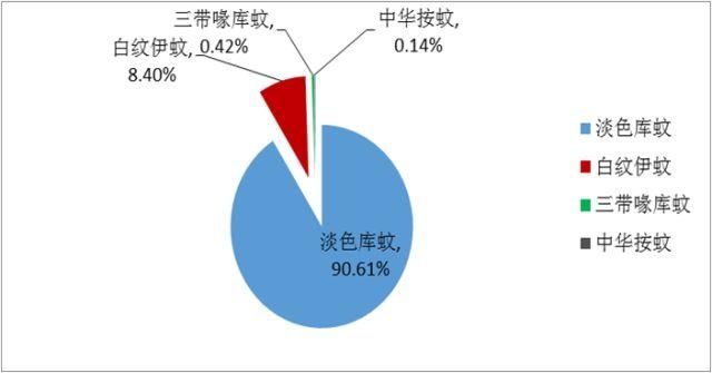 「北京疾控提醒您」北京蚊子图鉴，拥有这套防蚊指南让你和蚊子说