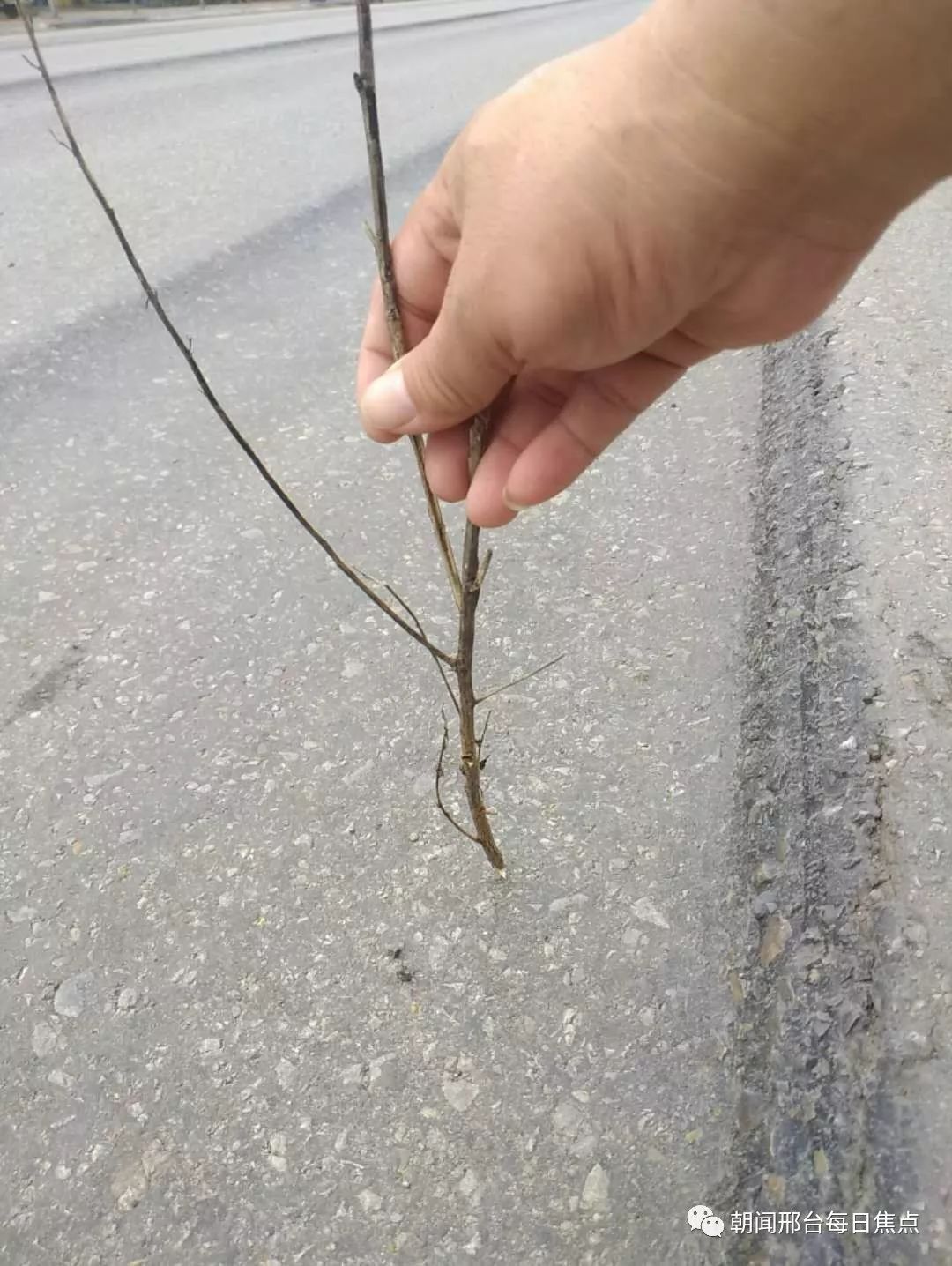 沙河市新城车辙路段罐车侧翻,《海草》还要唱