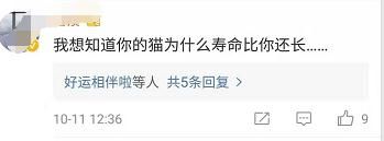 立遗嘱找律师多少钱