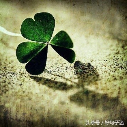 2018微信最火的心情说说短句,句句吸引人,刷爆