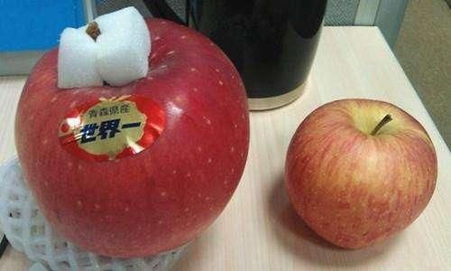 水果中的“爱马仕”