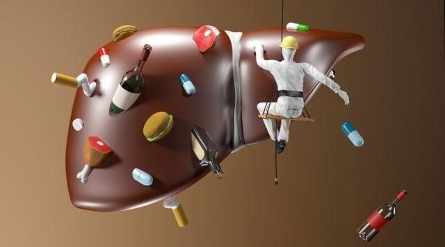 人体器官大佬:肝脏的 六宗最 ,养肝护肝只需做好