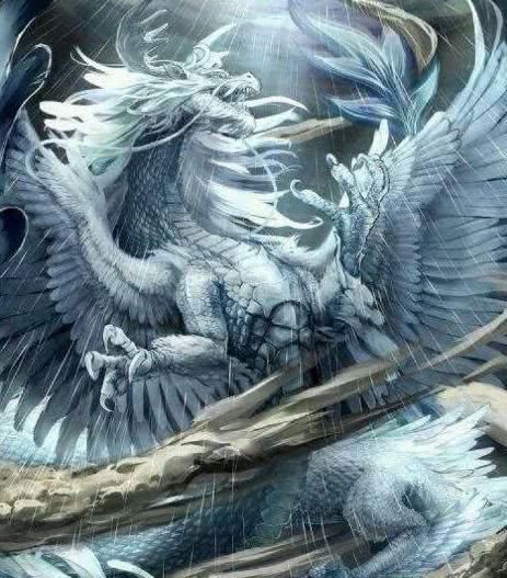 女生座像说:十二星座的守护神龙,金牛指南蛇,巨摩羯座上升巨蟹星座图片