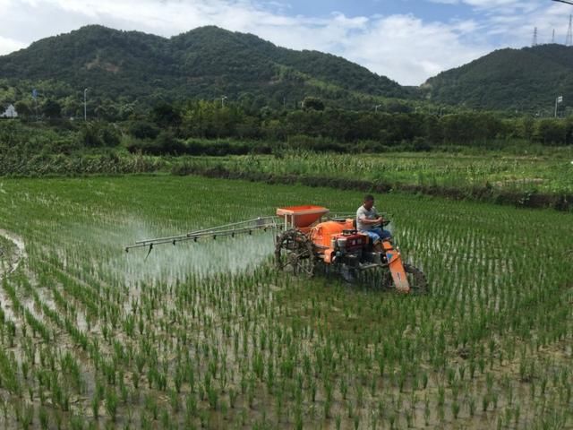 今年起农村开始实行“一户一田”，农民不要担心多的土地被收回