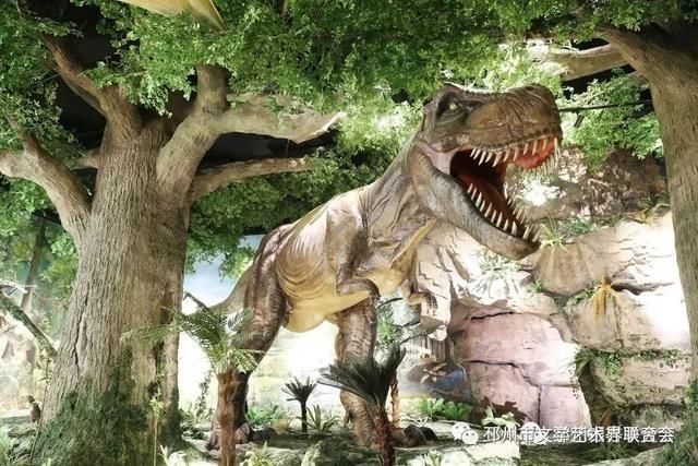 世界银杏博览馆导览｜二、从最美的时光隧道穿越到侏罗纪