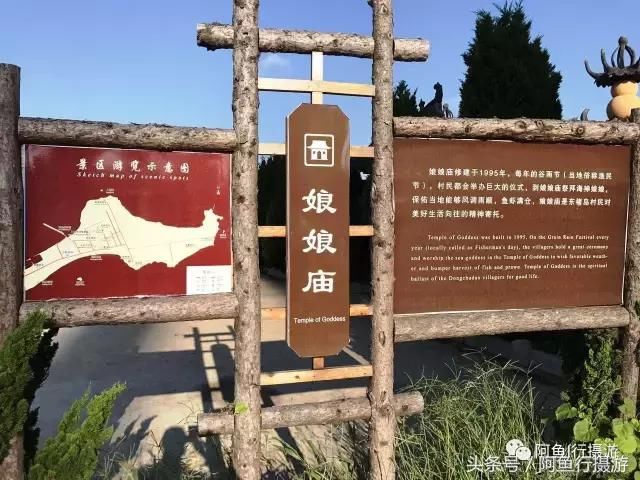 游记山东青岛、威海、济南