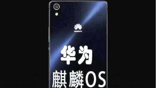 安卓系统是什么时候开始研发 t0117cceb339bee5cdb.jpg