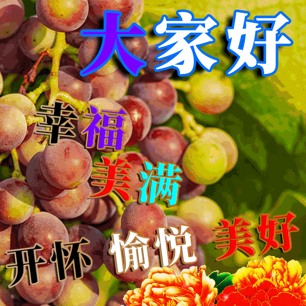 清晨问候早上好祝福动态图带字,温馨的早上好