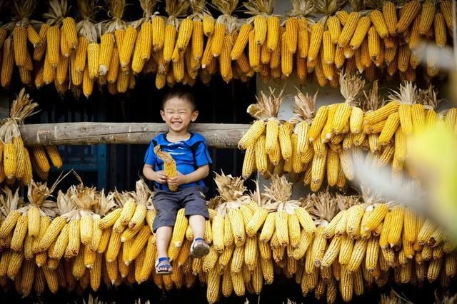 爱奇艺招聘拒绝河南 可你知道河南为全国提供了多少廉价粮食吗