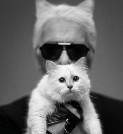 著名时尚设计师 老佛爷 Karl Lagerfeld去世