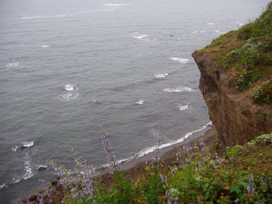 清朝时期我国最大岛屿,现有50多万人,是俄罗斯