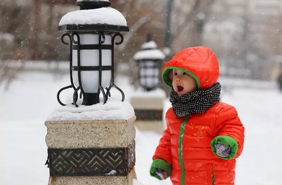 哈尔滨大妈有多疯狂?顶着暴雪和8级风坚持跳广场舞