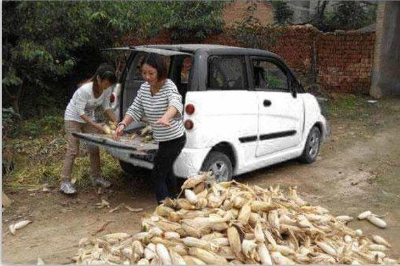 在农村，买车的人越来越多，但有两类人买车却让人特“反感”!