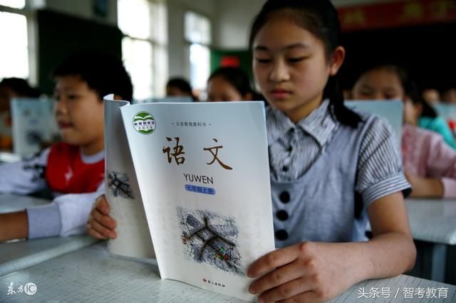 6个答题技巧,帮你搞定语文小升初阅读题