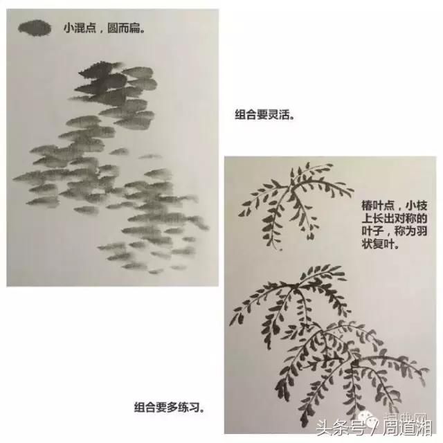 t0118c599d7d2ca21eb.jpg
