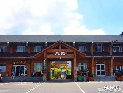 【RV达人】大忙人一个二十多岁就开始了自己房车之旅的“奇人”