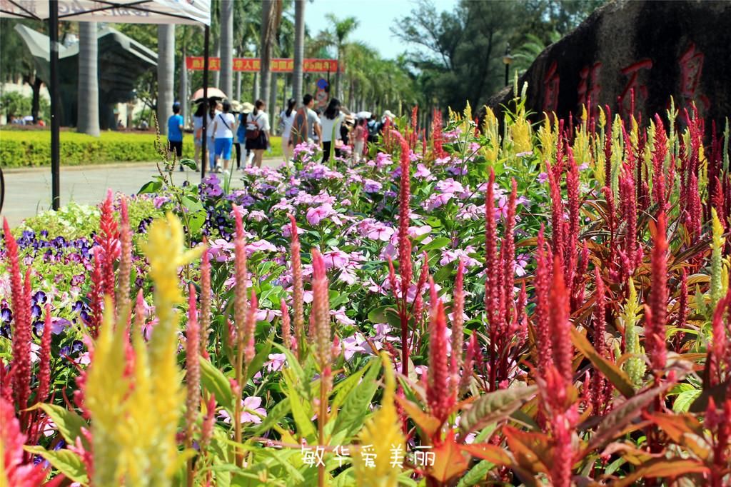 厦门市十五届人大五次会议