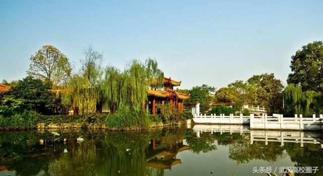 武汉30个春游免费景点大集合!踏青、骑行、拍照来这里就对了!