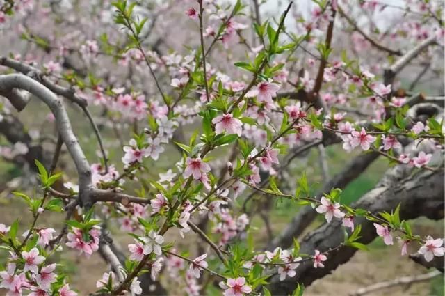 3月最佳旅行地出炉 再别错过了！